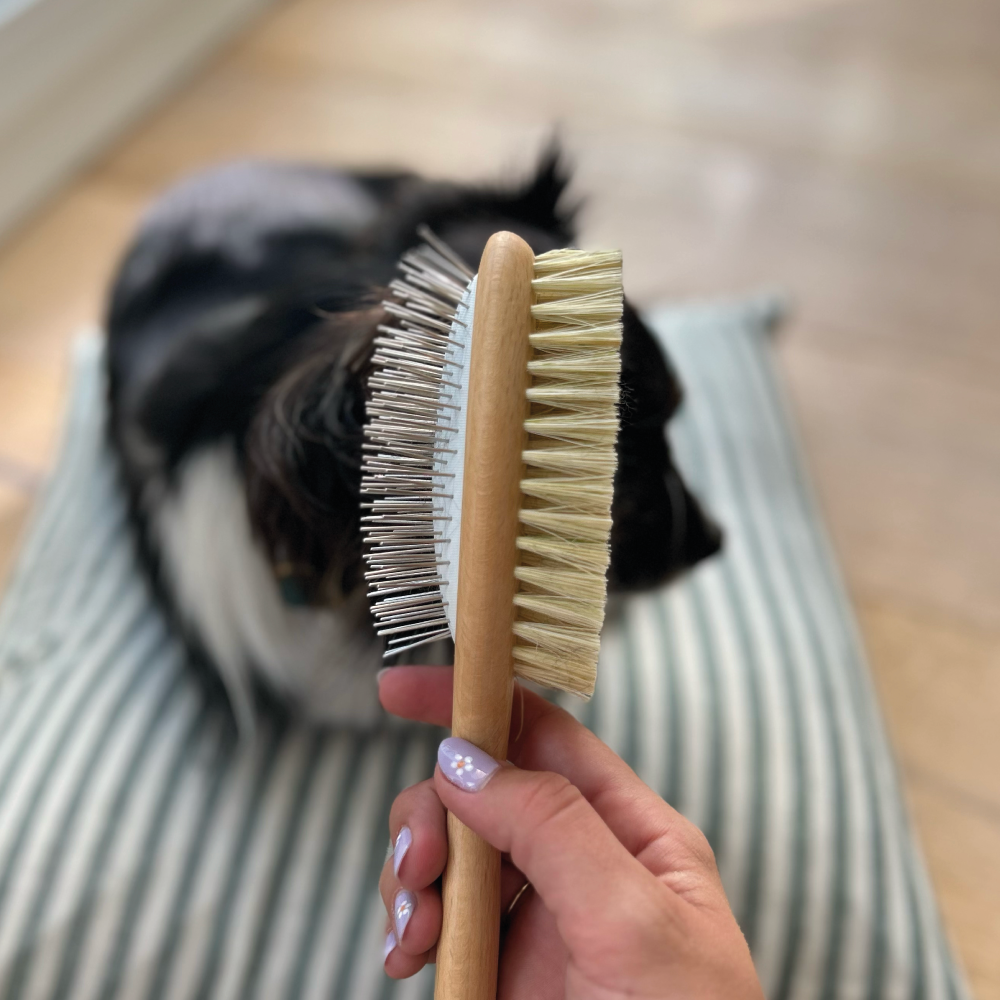 Person holding a natural bristle brush with a dog in the background