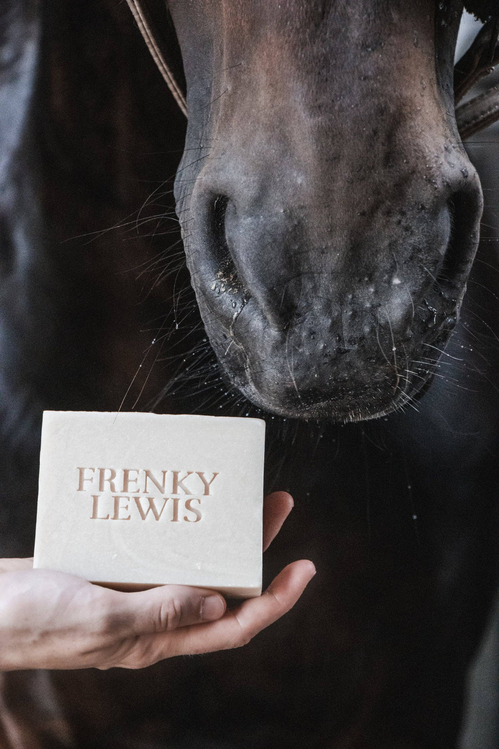 A close-up of a horse's nose and mouth area reaching toward a hand holding a rectangular cream-colored soap bar embossed with the text 'FRENKY LEWIS'.