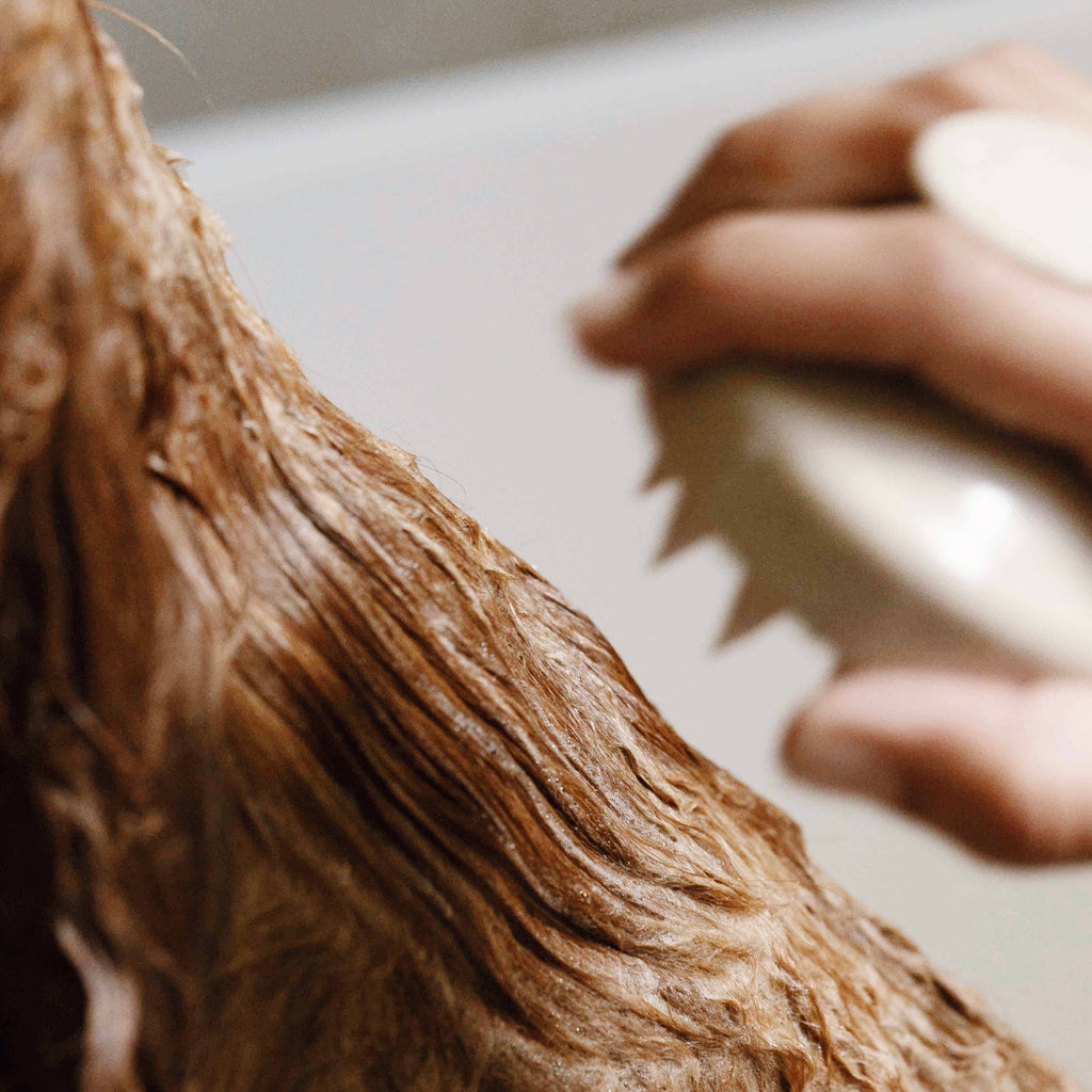 Person using a silicone brush on their dogs hair with a blurred background