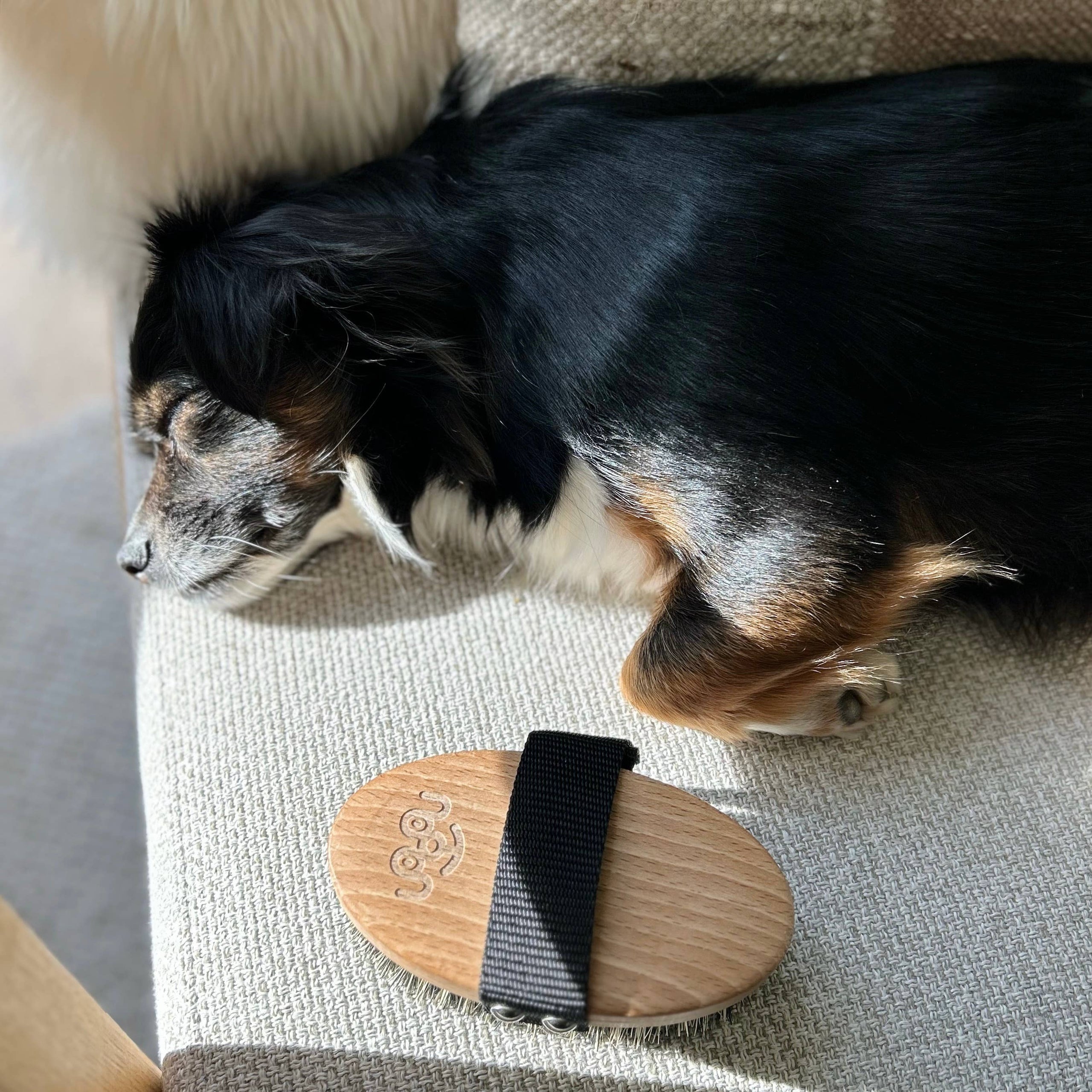 Dog lying on a textured surface next to a wooden paw pad with a strap